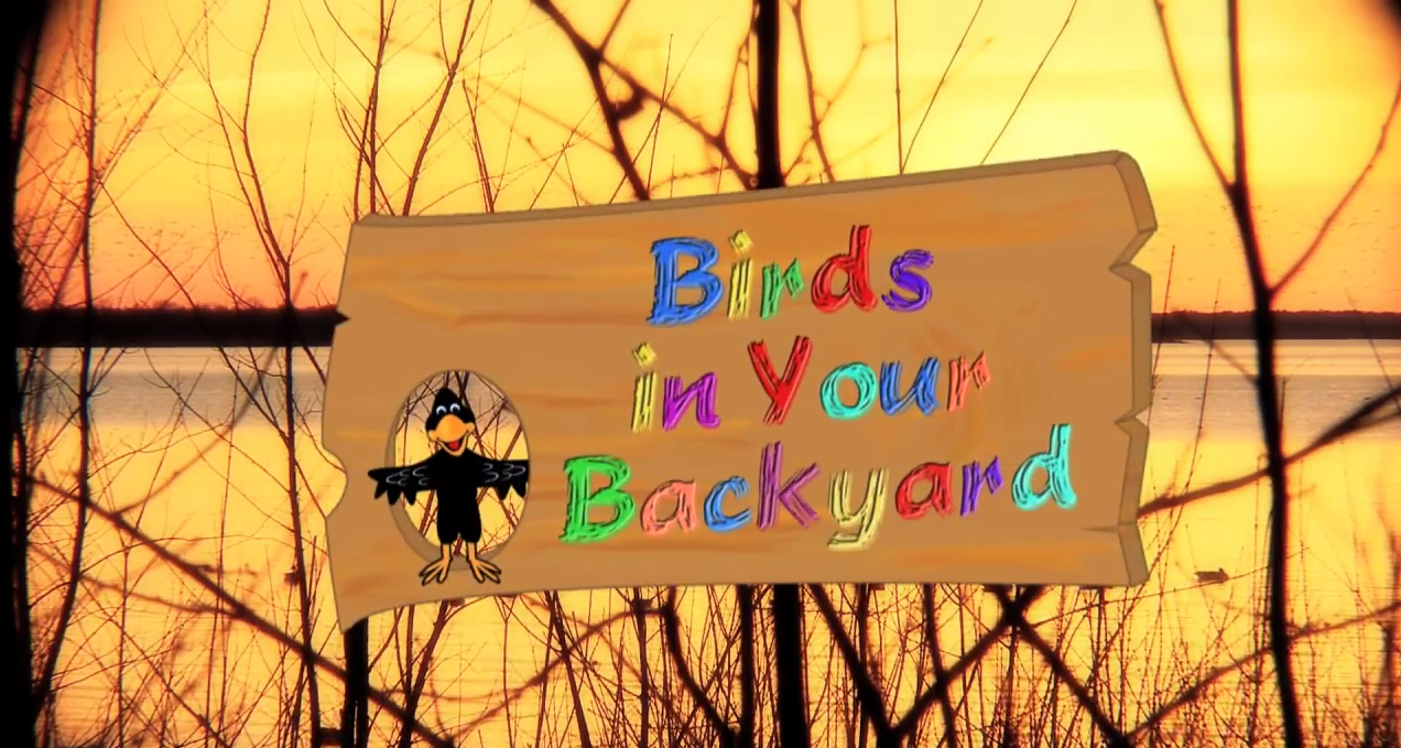 Birds In Your Backyard