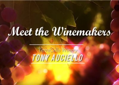 Tony Auciello – TerraCello Winery
